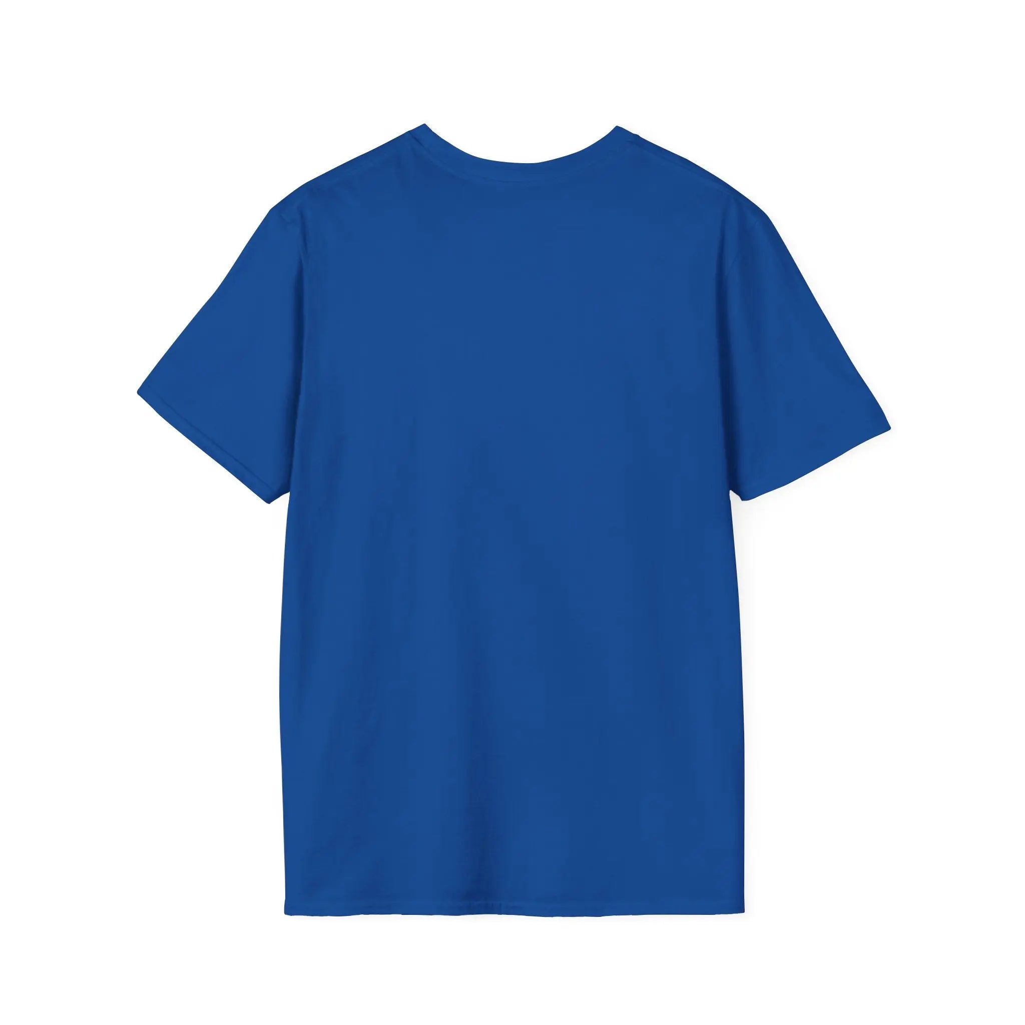 Goddess Laxmi tshirt Printify
