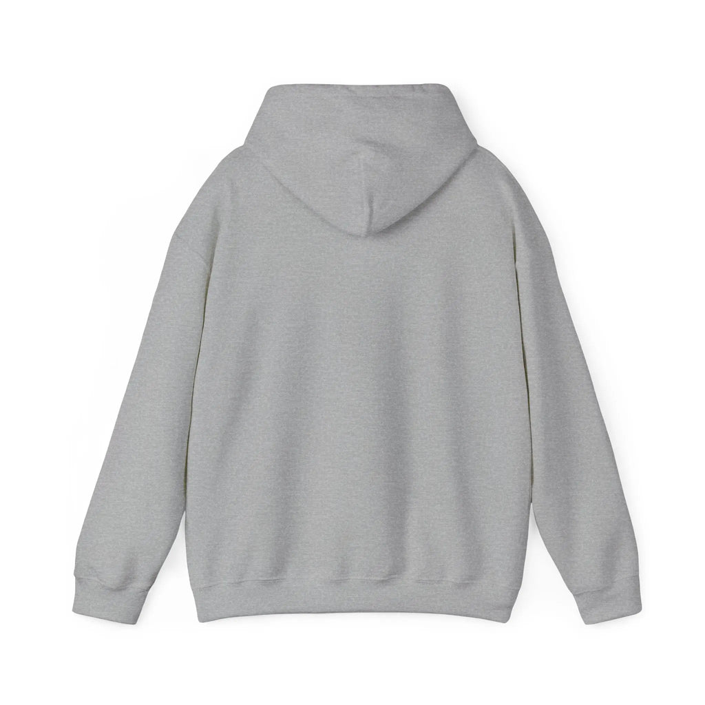 City Basketball Varsity Logo Hoodie | Collegiate, Streetwear Printify