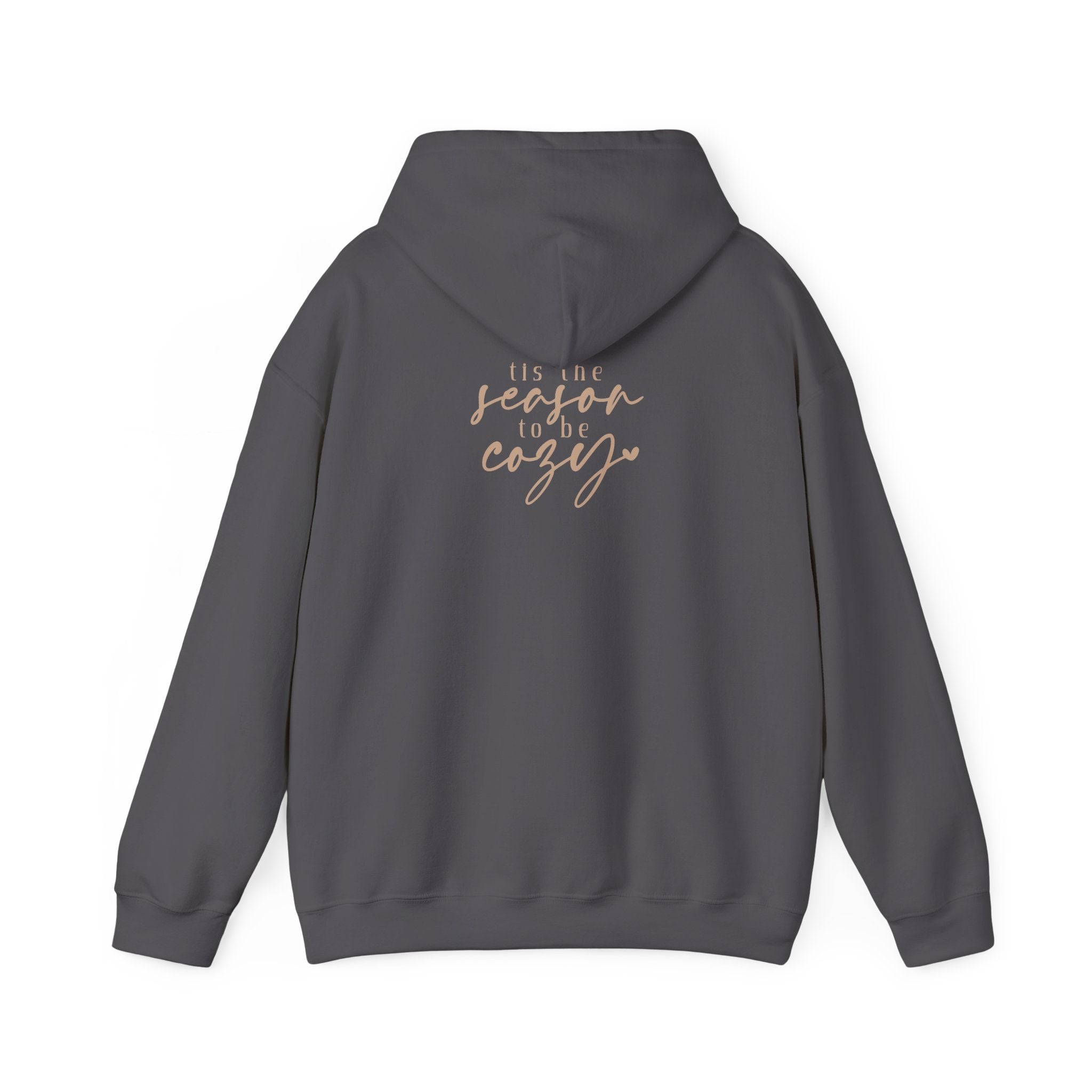 Let’s Get Cozy Hoodie with “Tis the Season to Be Cozy” on the back Soft Holiday Pullover