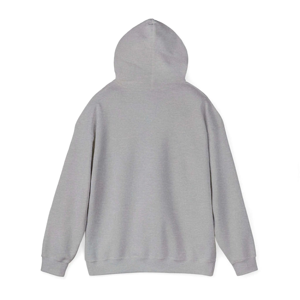 Off to Watch Soccer Hoodie | soccer watch party, cozy hoodie Printify