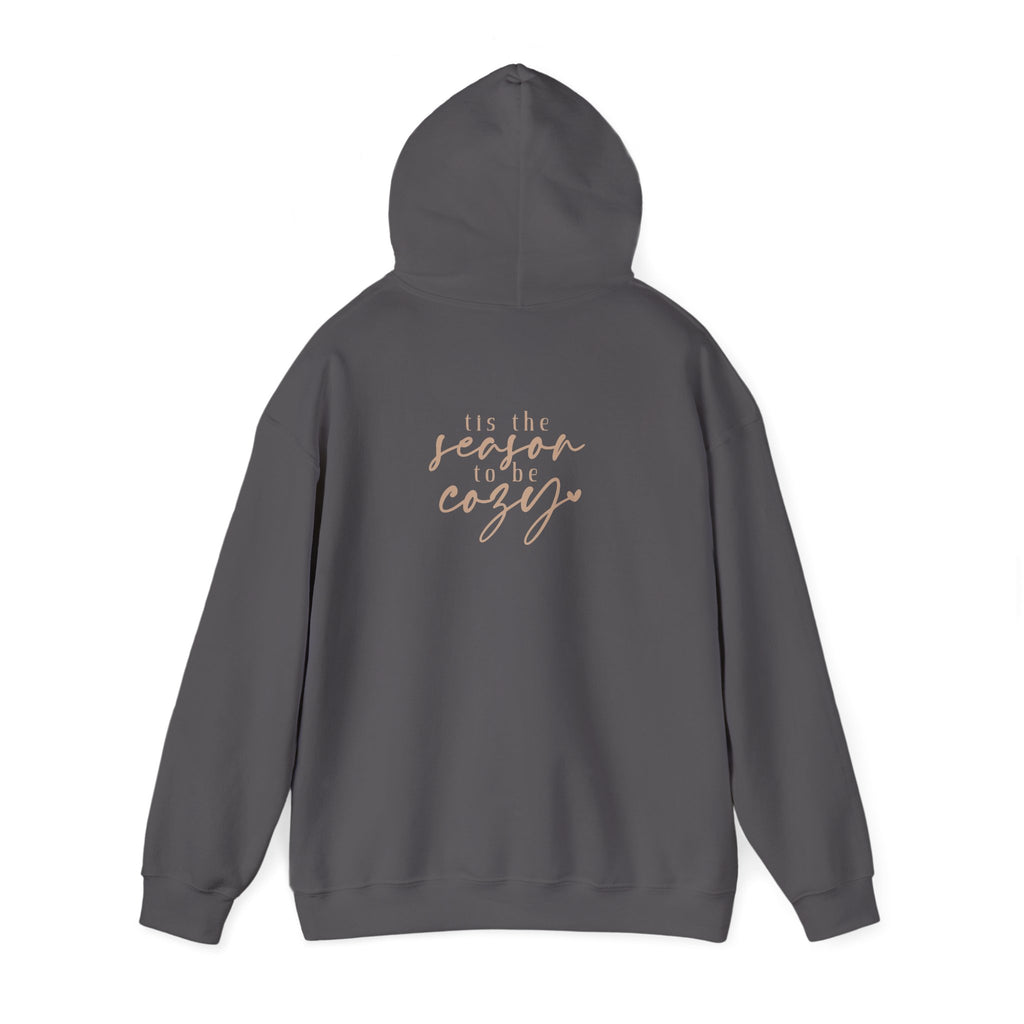 Let’s Get Cozy Hoodie with “Tis the Season to Be Cozy” on the back Soft Holiday Pullover