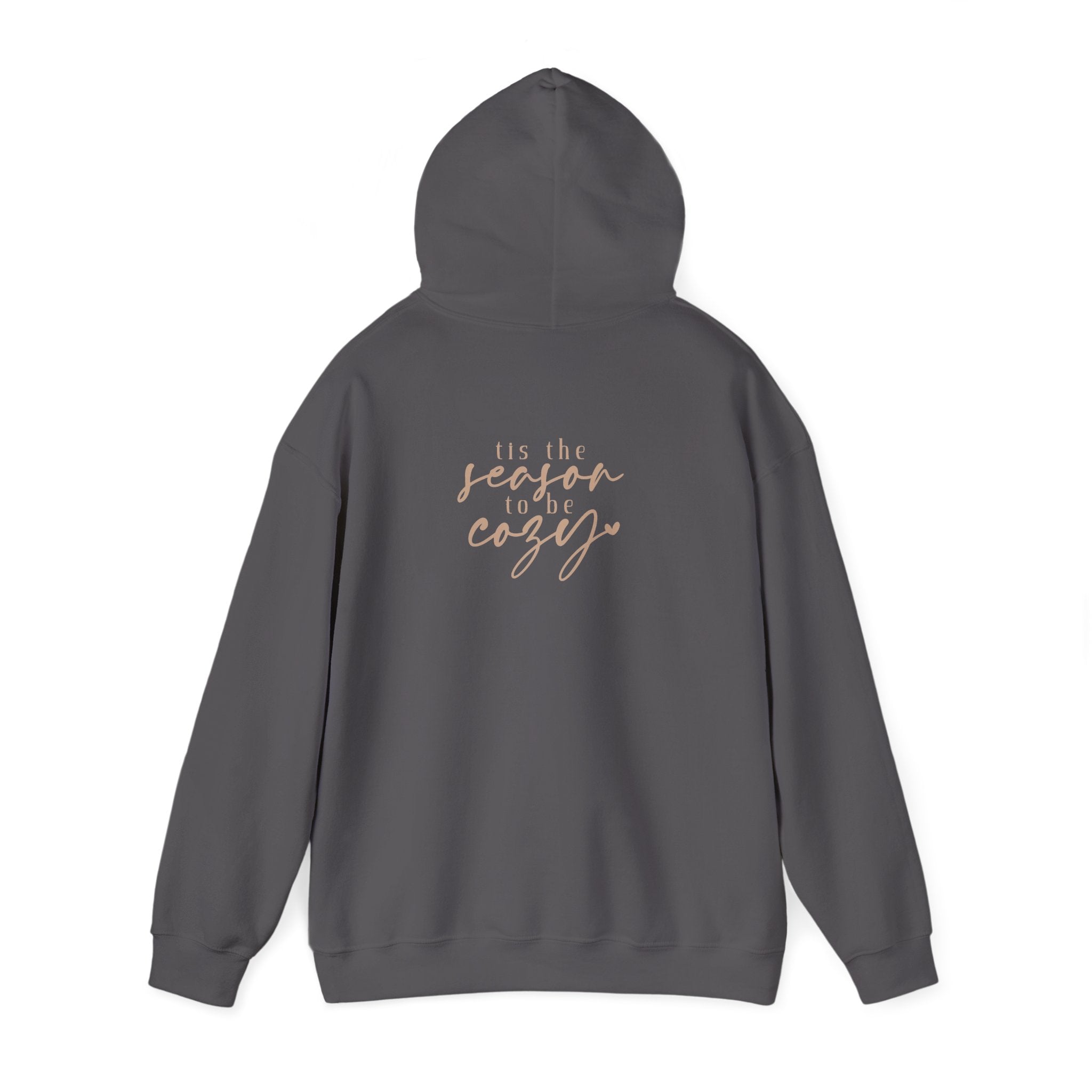 Let’s Get Cozy Hoodie with “Tis the Season to Be Cozy” on the back Soft Holiday Pullover