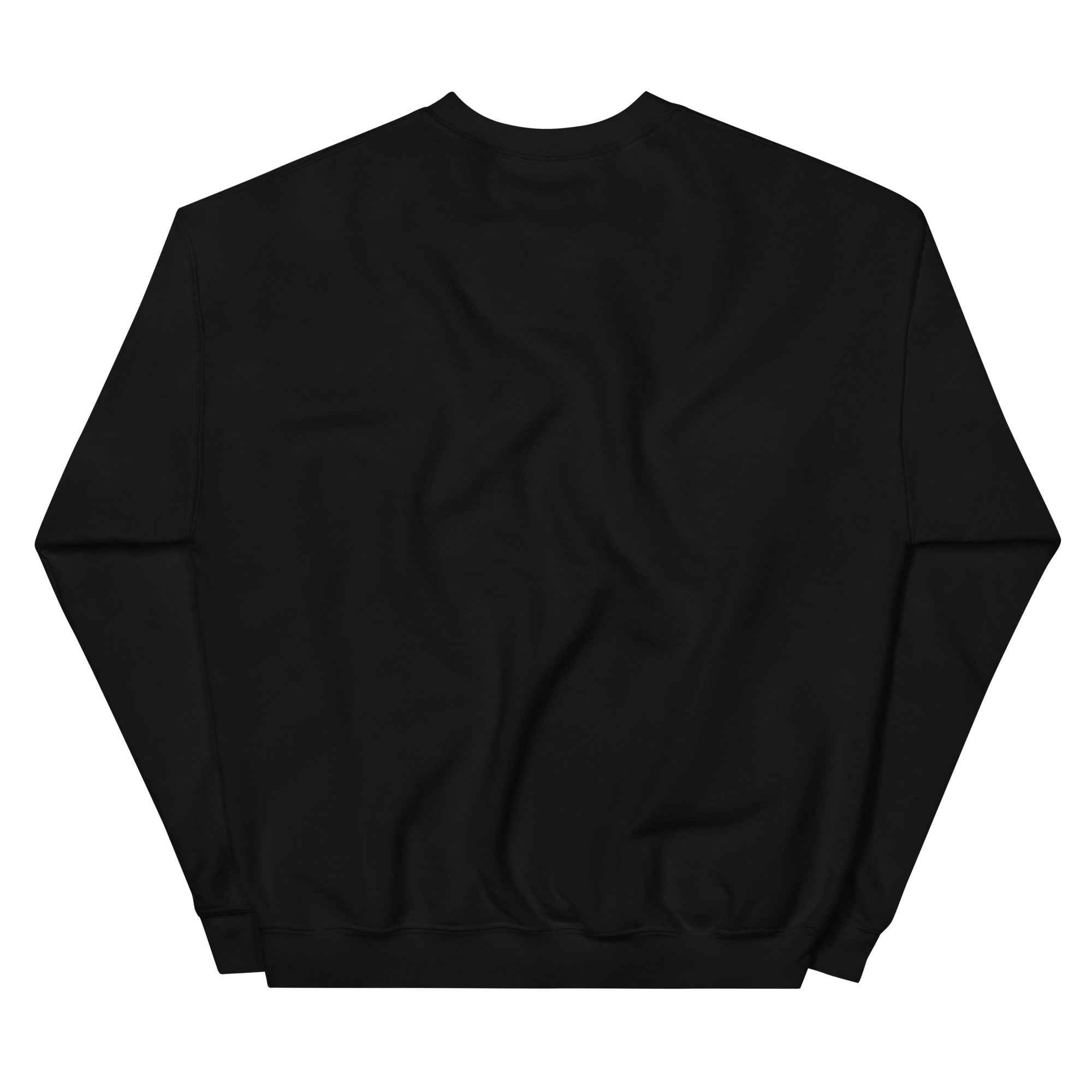 Classic Unisex Sweatshirt | Everyday Comfort & Style - Back To Basics
